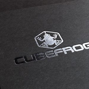 CubeFrog04