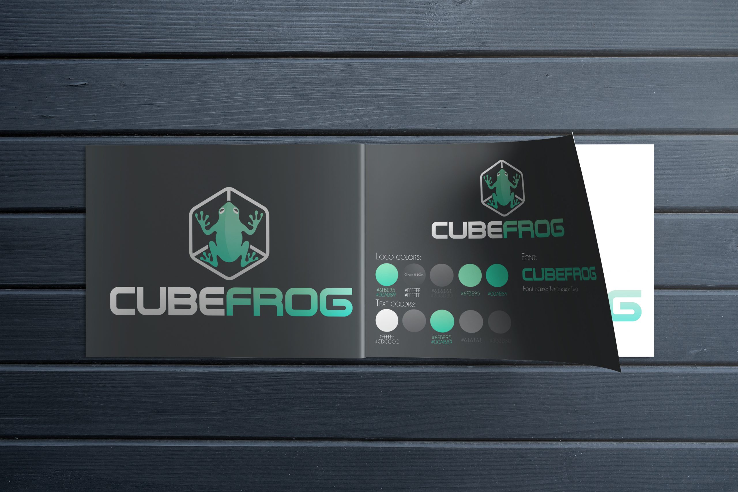 CubeFrog11 scaled