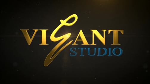 Vigant Logo Animation